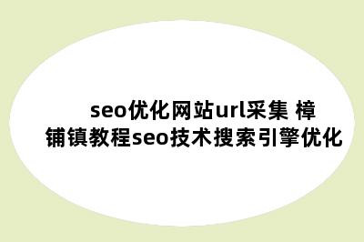 seo优化网站url采集 樟铺镇教程seo技术搜索引擎优化